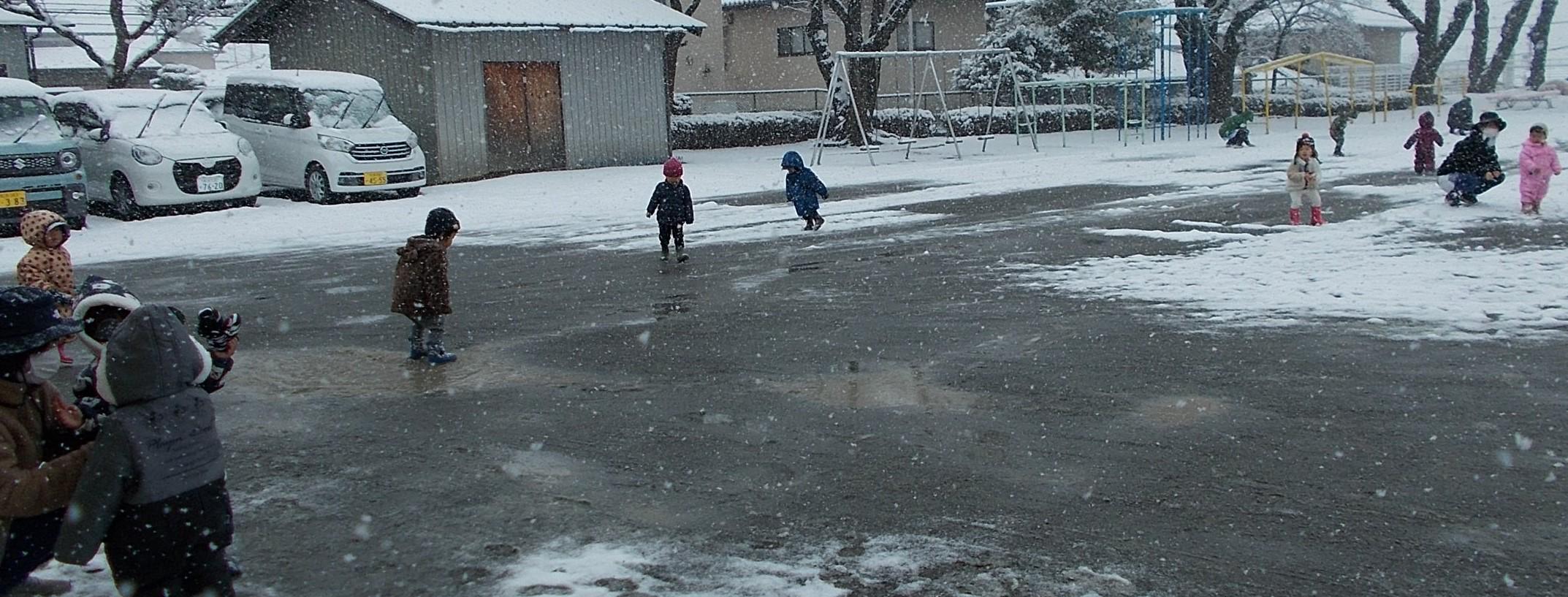 園の様子